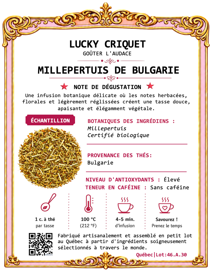 MILLEPERTUIS DE BULGARIE