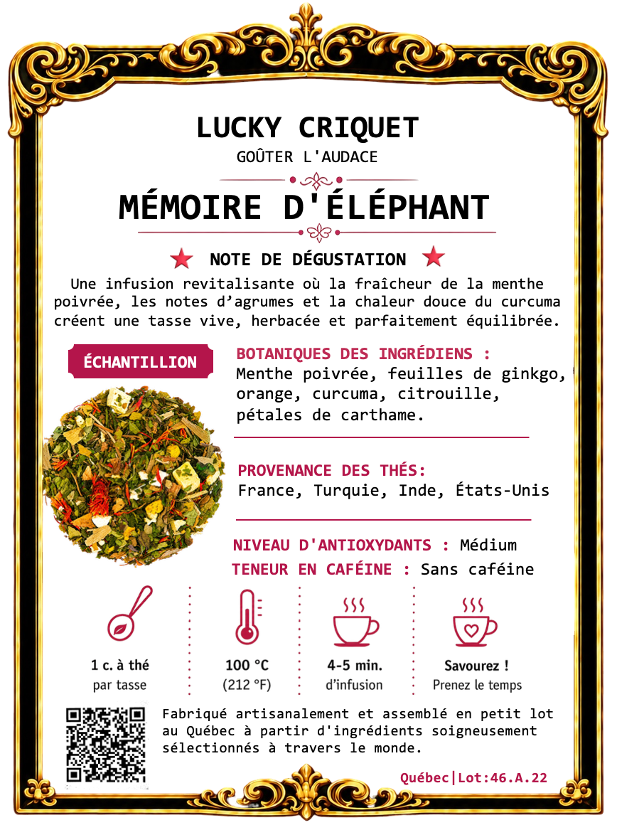 MÉMOIRE D'ÉLÉPHANT
