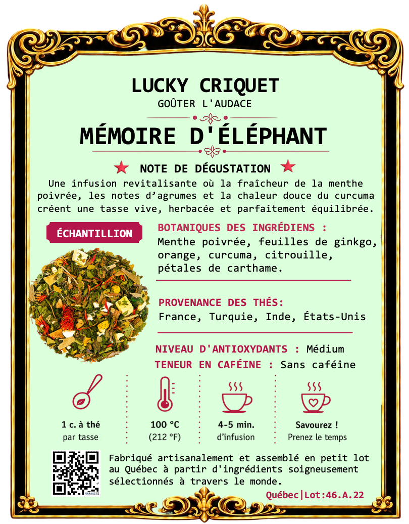 MÉMOIRE D'ÉLÉPHANT