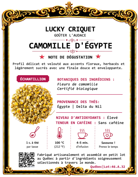CAMOMILLE D'ÉGYPTE