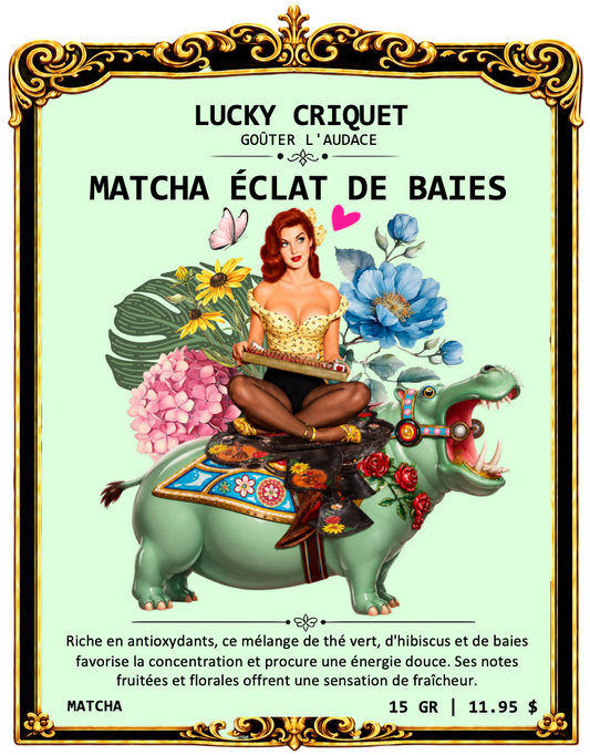 MATCHA ÉCLAT DE BAIES