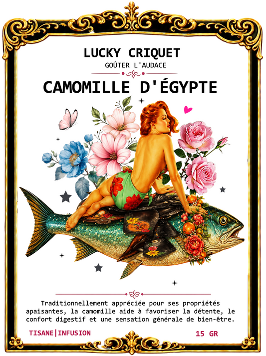 CAMOMILLE D'ÉGYPTE