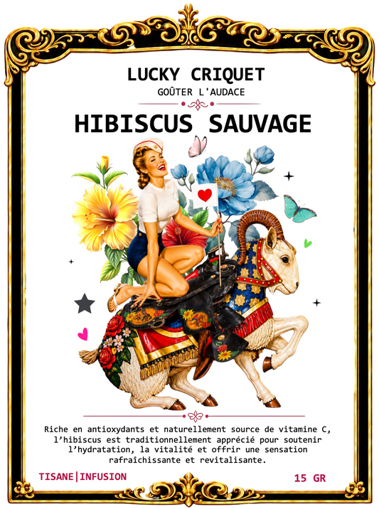 HIBISCUS SAUVAGE