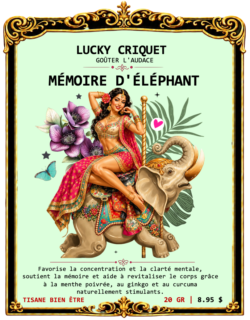 MÉMOIRE D'ÉLÉPHANT