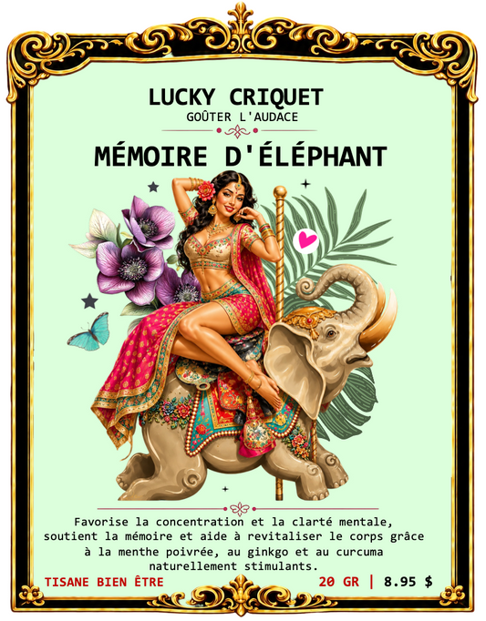 MÉMOIRE D'ÉLÉPHANT