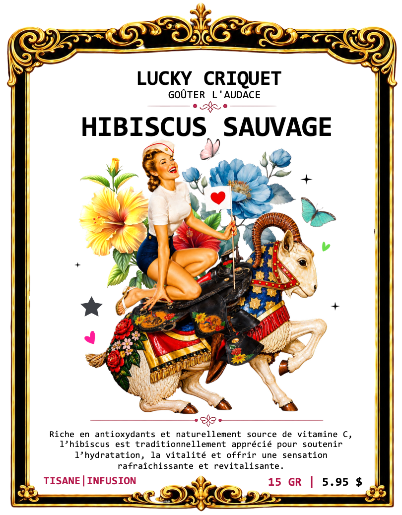 HIBISCUS SAUVAGE