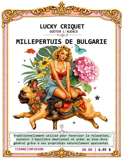 MILLEPERTUIS DE BULGARIE