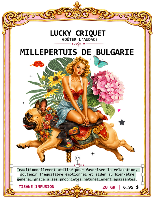 MILLEPERTUIS DE BULGARIE