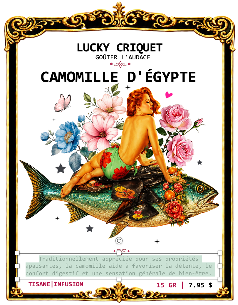 CAMOMILLE D'ÉGYPTE