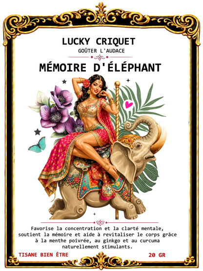 MÉMOIRE D'ÉLÉPHANT